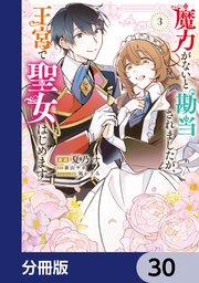 魔力がないと勘当されましたが、王宮で聖女はじめます【分冊版】 30