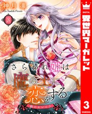さらわれ姫は鷹の王に恋をする 銀のセレイラ 3
