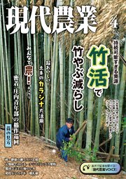 現代農業2024年4月号