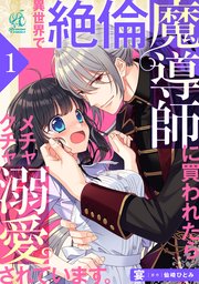 異世界で絶倫魔導師に買われたらメチャクチャ溺愛されています。