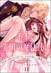 ネネと異国の魔法使い 異世界に召喚されたと思ったら、なぜか仔猫として愛玩されてます（分冊版） 【第11話】