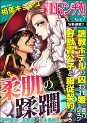 禁断Loversロマンチカ Vol.7～柔肌の蹂躙～