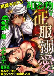 禁断Loversロマンチカ Vol.9～征服溺愛～