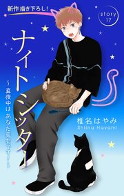 Love Silky ナイトシッター ～真夜中は あなた専有です!～