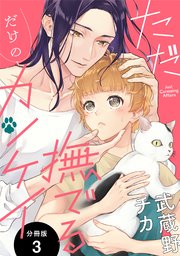 ただ撫でるだけのカンケイ 分冊版 ： 3