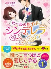 ヒールの折れたシンデレラ