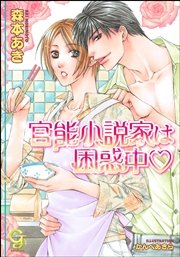 官能小説家は困惑中