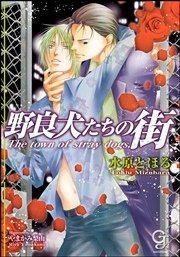 野良犬たちの街