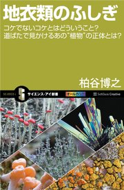 地衣類のふしぎ コケでないコケとはどういうこと？道ばたで見かけるあの“植物”の正体とは？