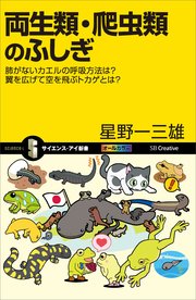 両生類・爬虫類のふしぎ 肺がないカエルの呼吸方法は？ 翼を広げて空を飛ぶトカゲとは？