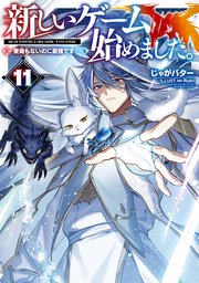 新しいゲーム始めました。～使命もないのに最強です？～11【電子書籍限定書き下ろしSS付き】