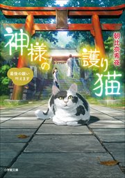 神様の護り猫
