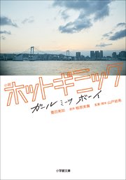 小説 ホットギミック ガールミーツボーイ