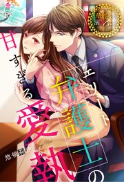 エリート弁護士の甘すぎる愛執【華麗なる溺愛シリーズ】