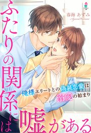 ふたりの関係には嘘がある～俺様エリートとの偽装恋愛は溺愛の始まり～