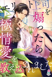 エリート上司を煽ったら極情愛を教え込まれました
