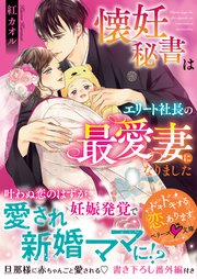 懐妊秘書はエリート社長の最愛妻になりました