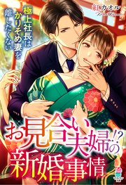 お見合い夫婦！？の新婚事情～極上社長はかりそめ妻を離したくない～