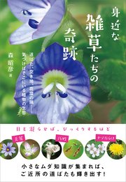 身近な雑草たちの奇跡 道ばた、空き地、花壇の隅……気づけばそこにいる植物の生態