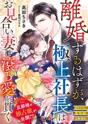 離婚するはずが、極上社長はお見合い妻に滾る愛を貫く