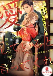 愛していると言ってくれ 寡黙な御曹司はこじらせ処女を離さない