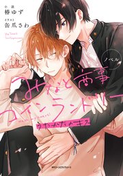 ノベル みなと商事コインランドリー