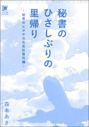 秘書のひさしぶりの里帰り ～秘書のヒメヤカな反抗番外編～