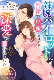 辣腕パイロットに内緒で出産するはずが、深愛で囲われました【空飛ぶ職業男子シリーズ】