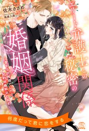 【全1-6セット】エリート弁護士との秘密の婚姻関係 ～愛する旦那様でしたが、契約結婚解消します！～【イラスト付】