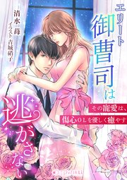 エリート御曹司は逃がさない～その寵愛は、傷心OLを優しく癒やす～