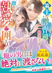 【至高の兄弟シリーズ】策士なエリート御曹司は最愛妻を溢れる執愛で囲う