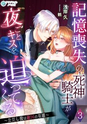 記憶喪失の死神騎士が夜ごとキスを迫ってくる～ただし彼は敵国の英雄～（3）