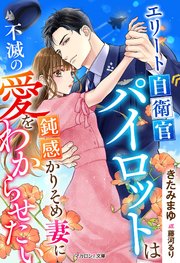 エリート自衛官パイロットは鈍感かりそめ妻に不滅の愛をわからせたい