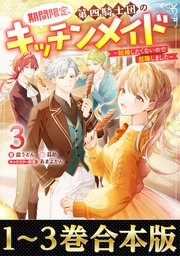 期間限定、第四騎士団のキッチンメイド