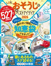晋遊舎ムック LDKおそうじの超ベストアイディア2026