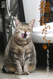 猫に会いたくて モフモフしたご近所さん