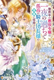 懲罰中の悪役令嬢は一夜の過ちで孤高の騎士団長様の専属に任命されました