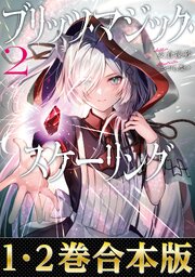 ブリッツ・マジック・スケーリング