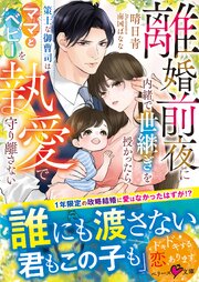 離婚前夜に内緒で世継ぎを授かったら～策士な御曹司はママとベビーを執愛で守り離さない～【SS付き】