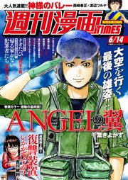週刊漫画TIMES 2024年6／14号