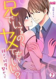 兄でいるの、ヤメてもいい？～朝まで何度も繋がって～ 2巻