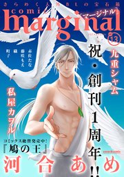 comic marginal vol.13