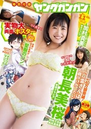 ヤングガンガン 2017 No.11