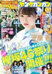 ヤングガンガン 2017 No.14