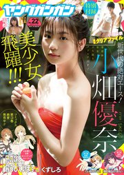 ヤングガンガン 2017 No.22