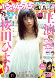 ヤングガンガン 2017 No.24