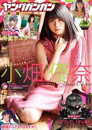 ヤングガンガン 2018 No.06