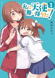 私に天使が舞い降りた!: 3【イラスト特典付】