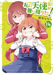私に天使が舞い降りた!: 14【イラスト特典付】