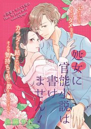 処女に官能小説は書けません！ 【短編】